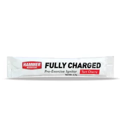 Product-HAMMER FULLY CHARGED